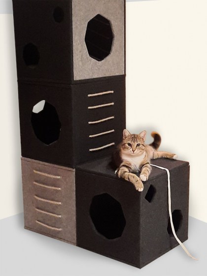 cat box set B